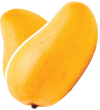 ILUSTRACION MANGO