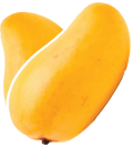ILUSTRACION MANGO